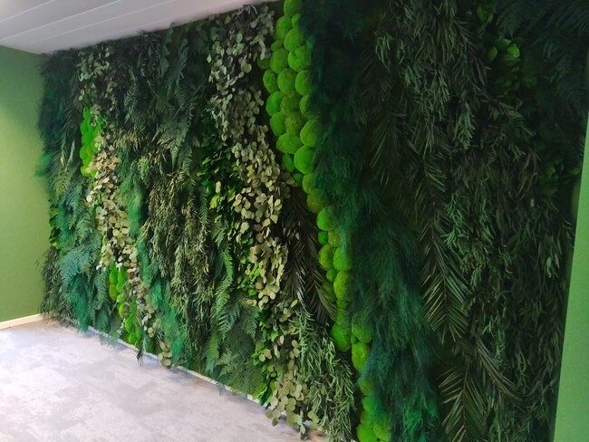 Mur Végétal Stabilisé - Jungle - Inside Luxembourg