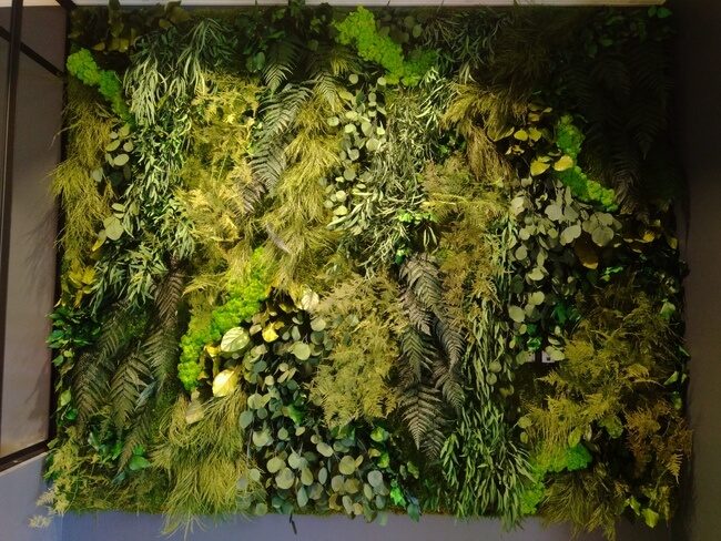 Mur végétal Stabilisé -Jungle - Delta Plus Apt