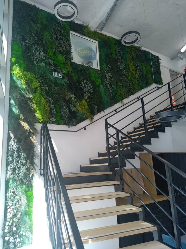 Mur végétal Stabilisé Jungle ICADE I Marseille 13008