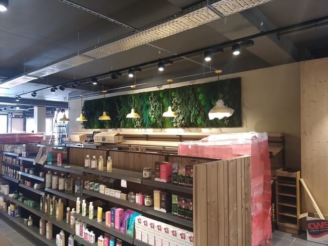 Mur Végétal Stabilisé - Jungle - La vie Clair - Lyon