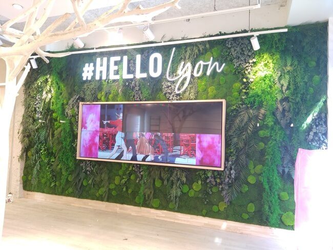 Mur Végétal Stabilisé - CAMAÏEU LYON