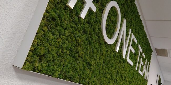 Panneau Lichen #ONE TEAM