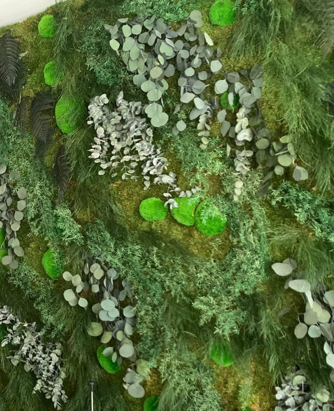 Mur végétal stabilisé sans entretien - Jungle - MMA - Le Thor