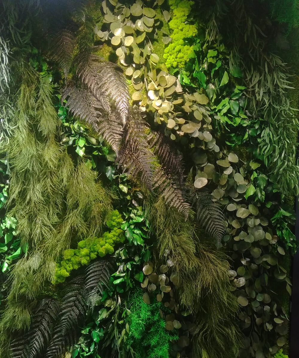 Mur végétal stabilisé sans entretien Jungle Les Angles Naturalia