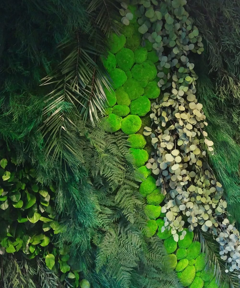 Mur végétal stabilisé sans entretien Luxembourg