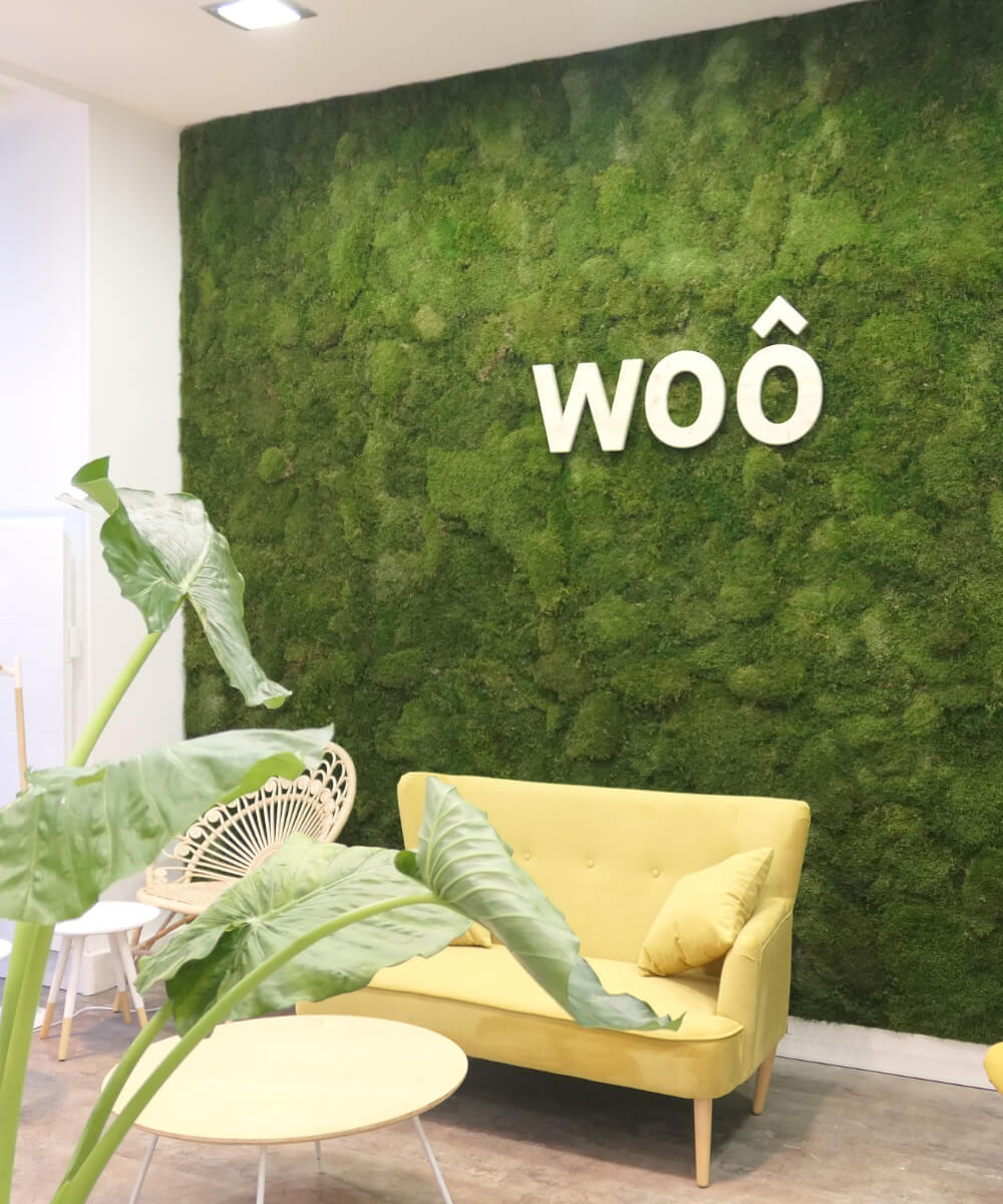 Mur végétal stabilisé sans entretien - Mousse Plate à Paris - Woo