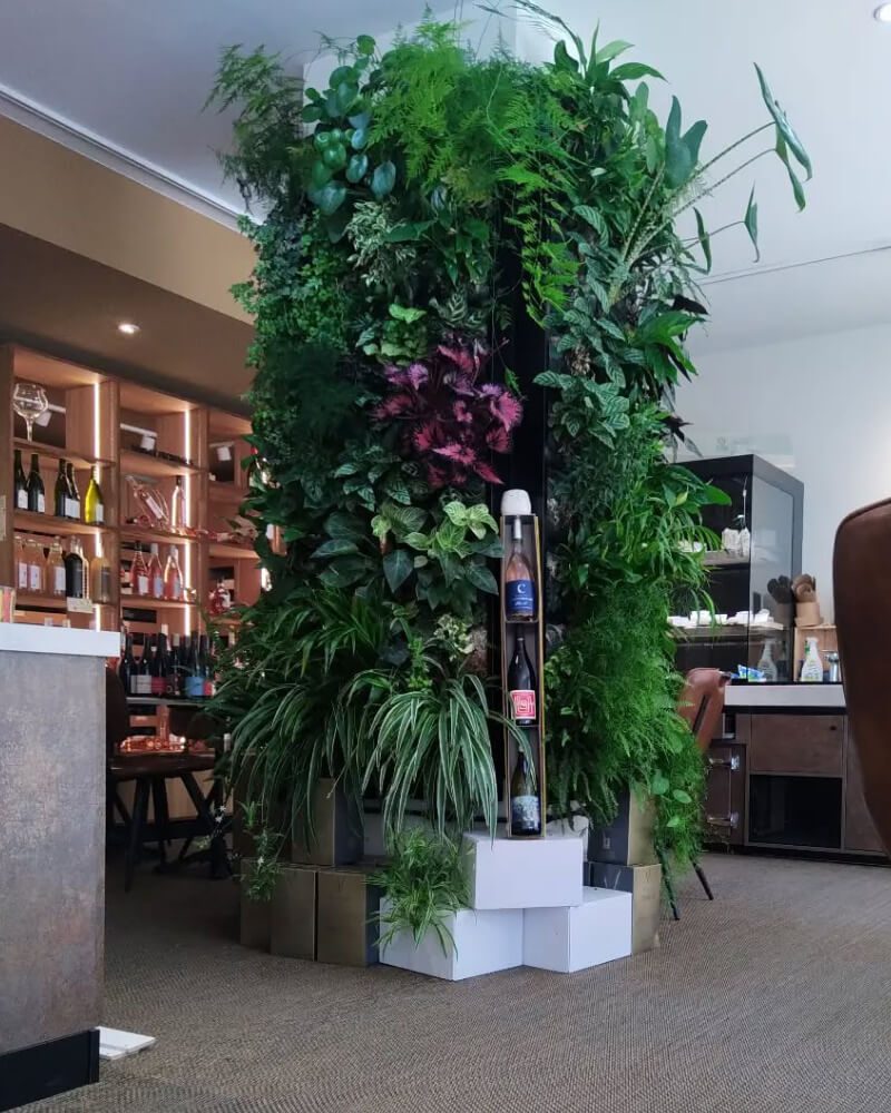 Murs Végétaux en France - VertiWall