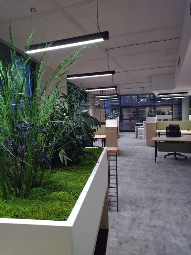 Jardinières végétales stabilisées - Camaïeu