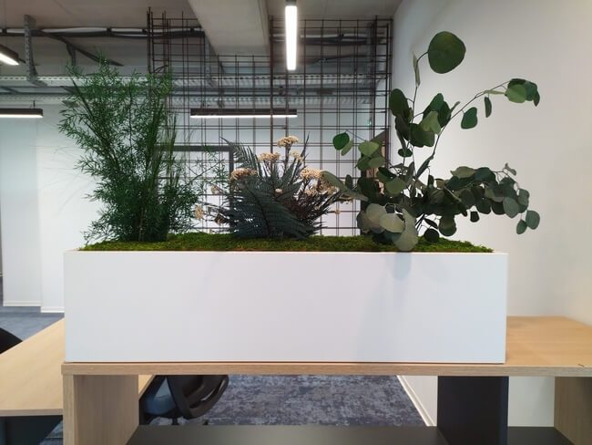 Jardinières végétales stabilisées - Camaïeu