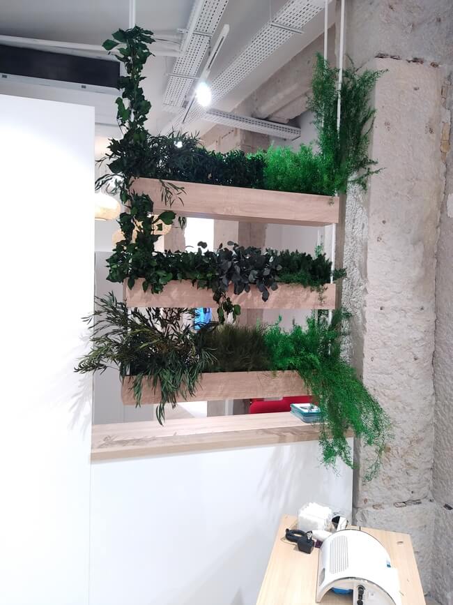 Jardinières végétales stabilisées - Camaïeu