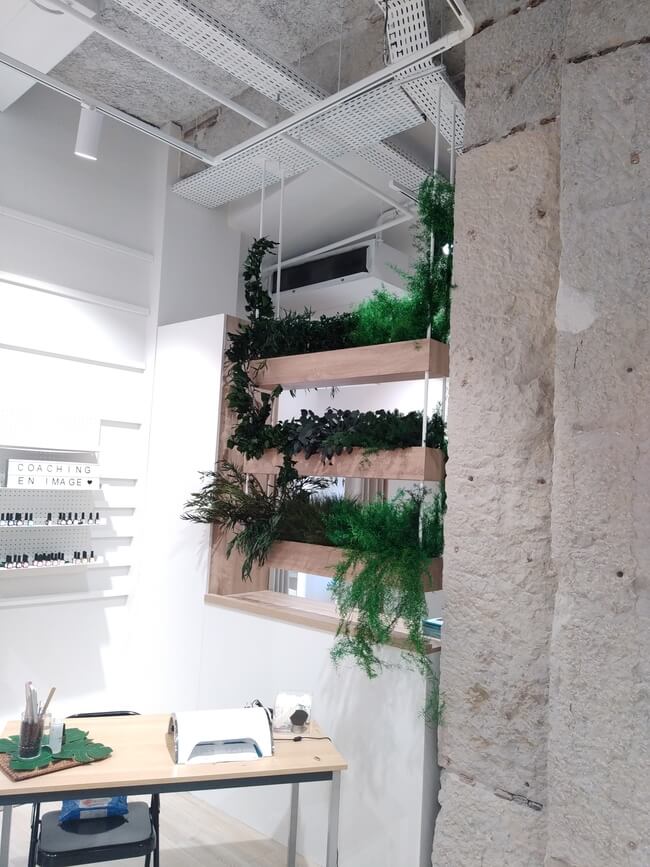 Jardinières végétales stabilisées - Camaïeu