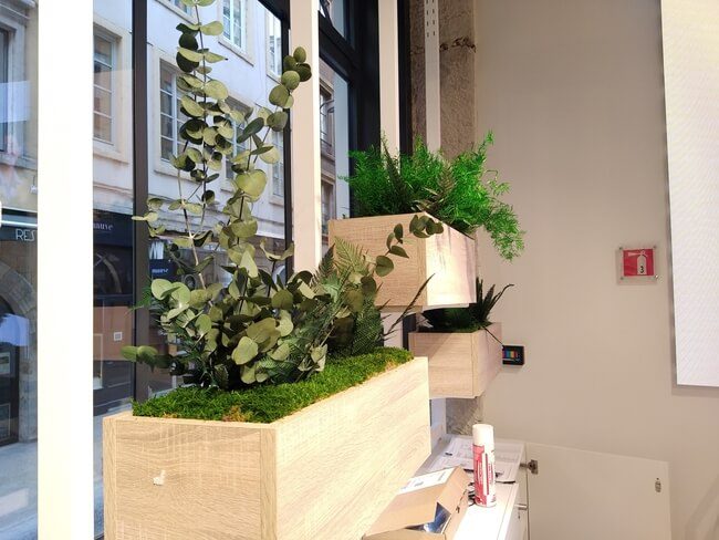 Jardinières végétales stabilisées - Camaïeu