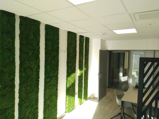 Panneau Stabilisé - Mousse Plate - Pau