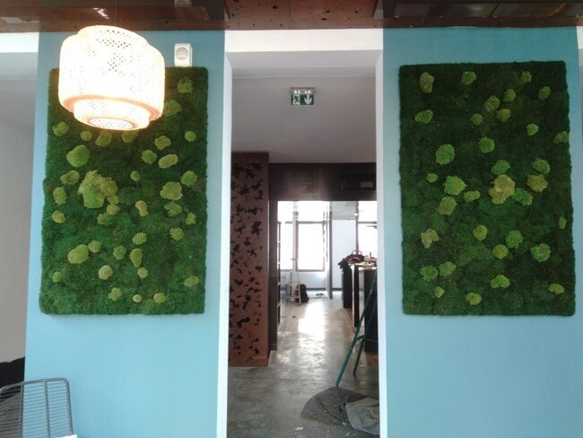 Panneaux Végétaux Stabilisés - La Table Cinq - Marseille