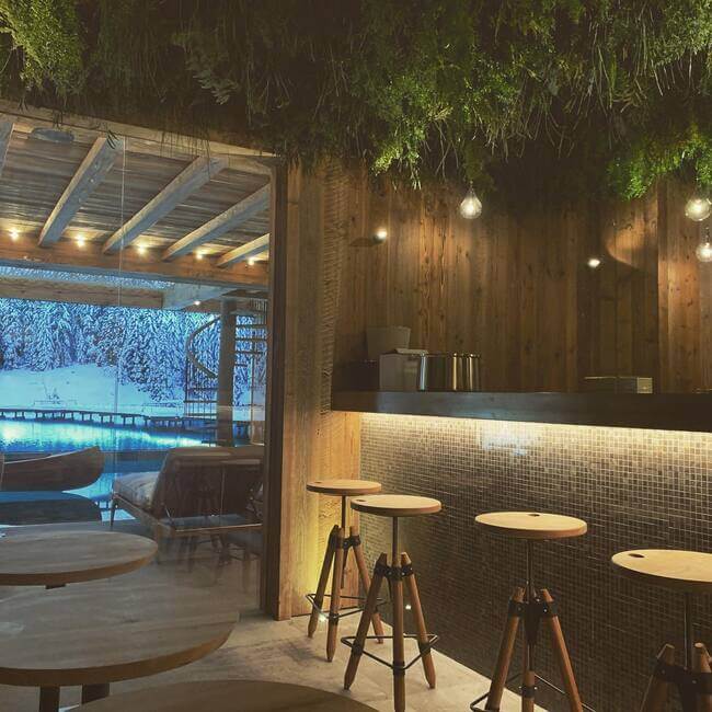 Plafonds Stabilisés - Jungle - Courchevel 1850