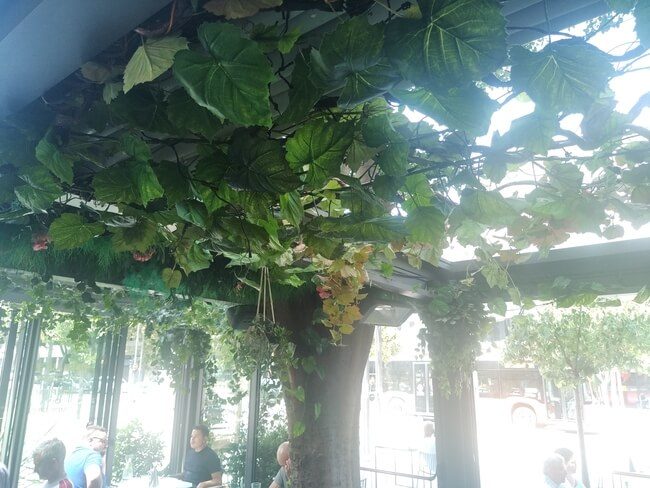 Suspension végétale - Cacio e Pepe -Marseille